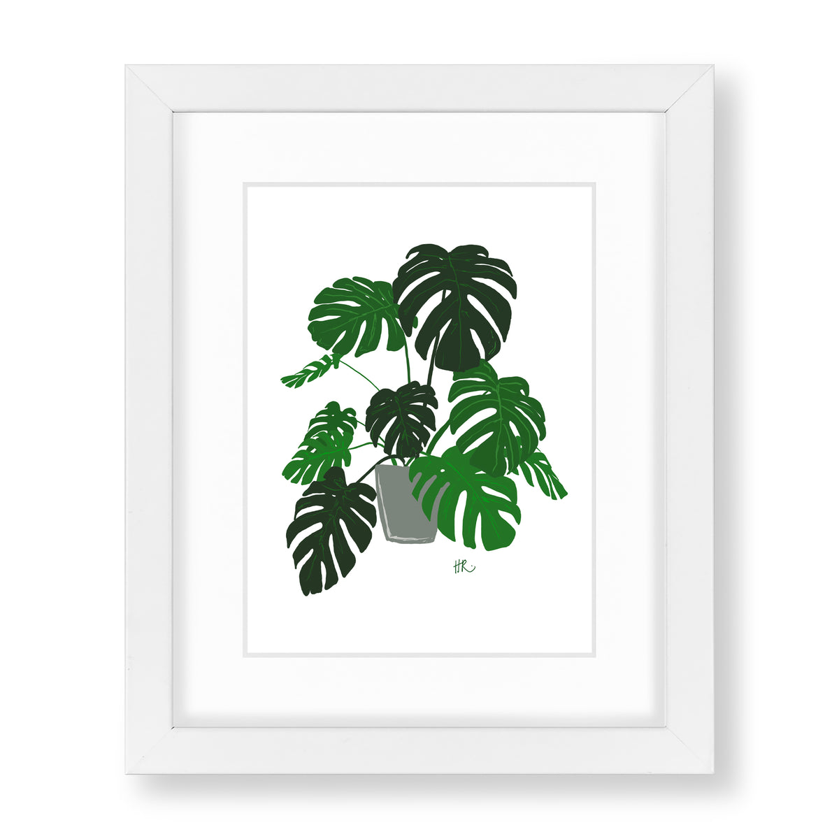 Monstera – The Photo Shop